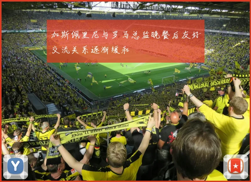加斯佩里尼与罗马总监晚餐后友好交流关系逐渐缓和