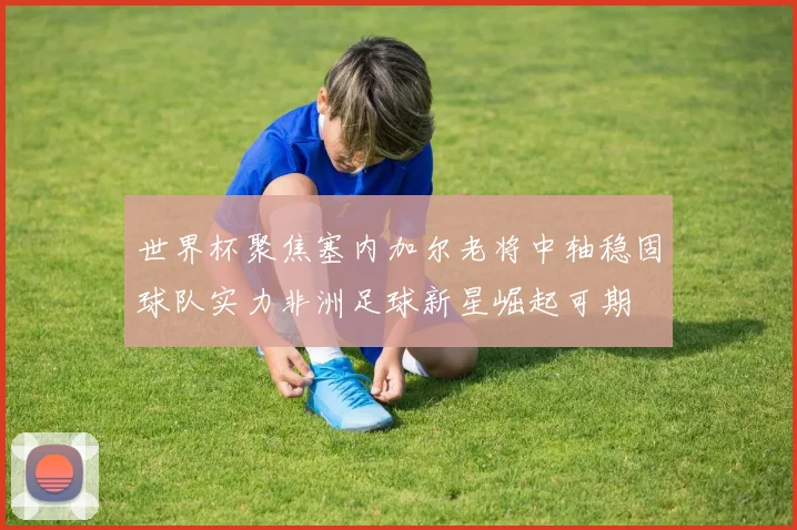 世界杯聚焦塞内加尔老将中轴稳固球队实力非洲足球新星崛起可期